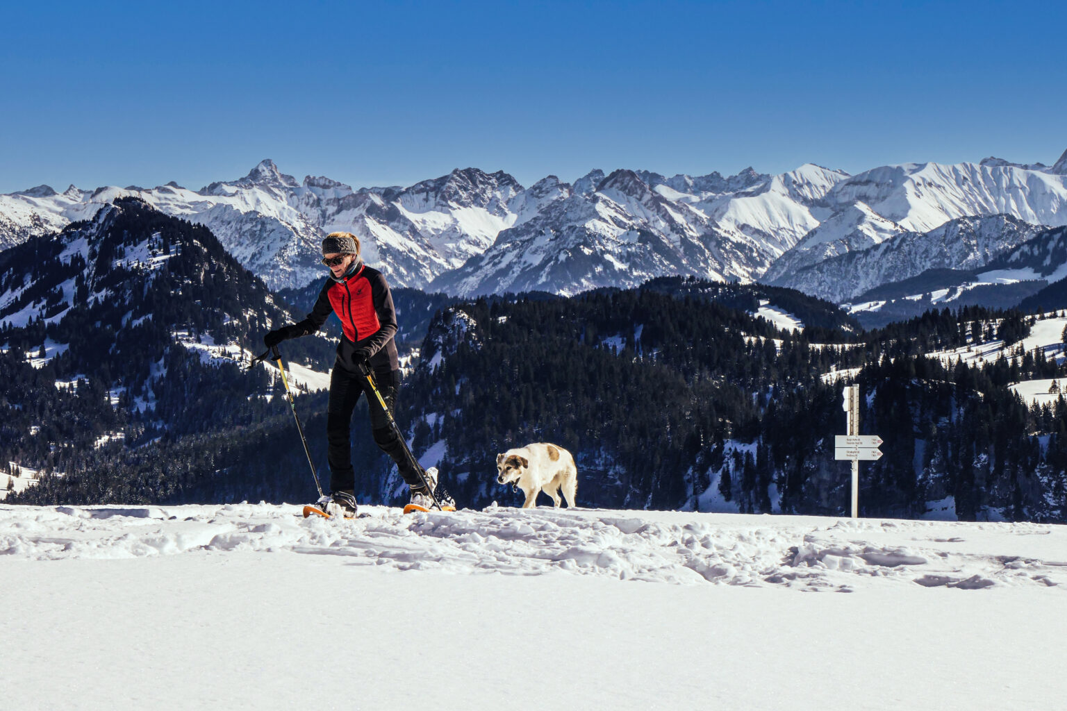 Schneeschuhwanderung Balderschwang